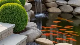 koi pond construction near me